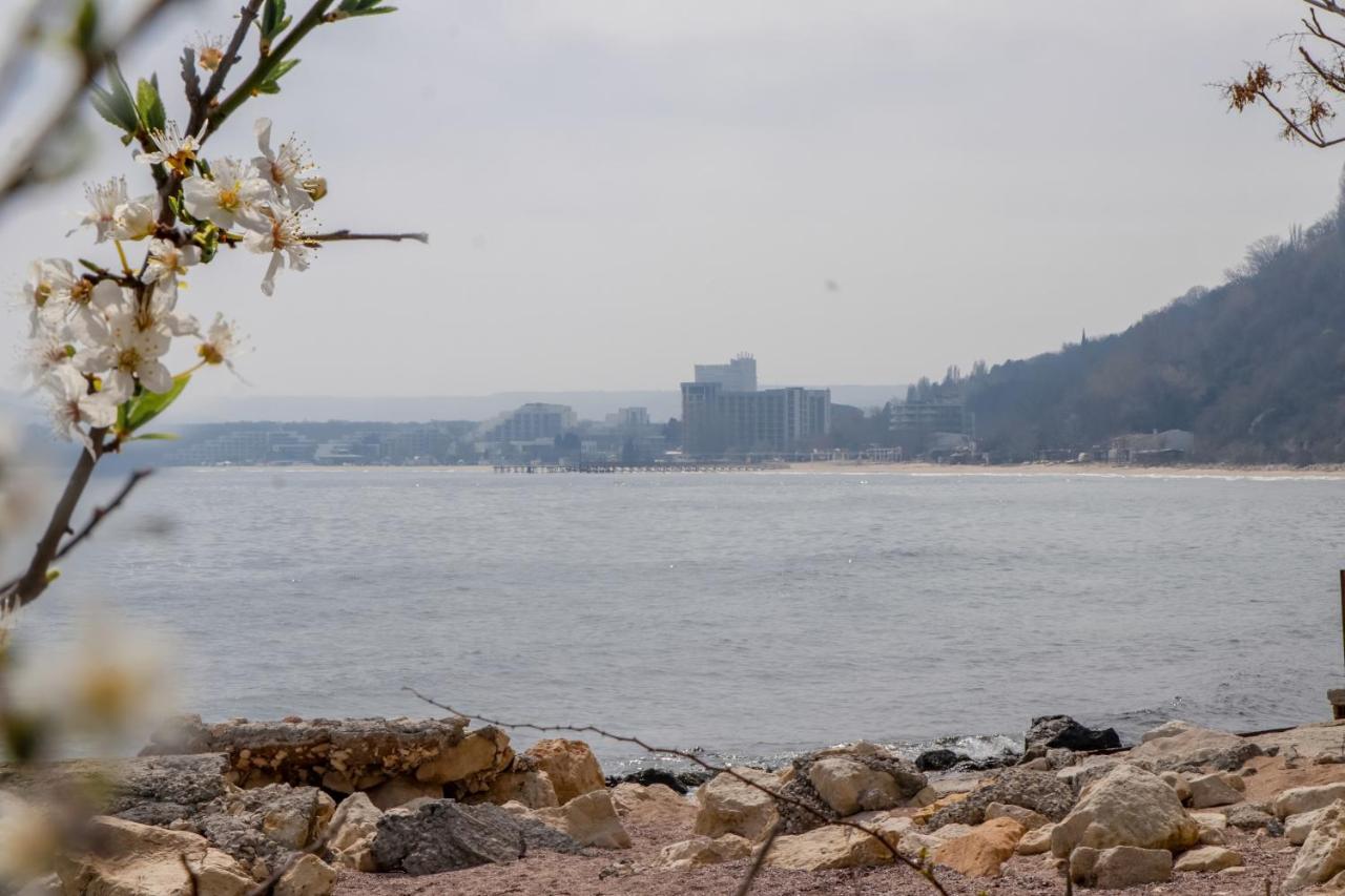 Villa Nora Albena Dış mekan fotoğraf